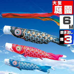 _|CgʃobNII^̂ڂ 傫 ̂ڂ    O ^Zbg S[h 6m 6_Zbg IV