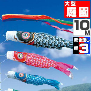 _|CgʃobNII^̂ڂ 傫 ̂ڂ    O ^Zbg FT 10m 6_Zbg IV