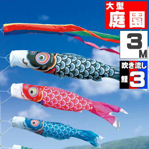 ̂ڂ 傫 ̂ڂ    O ^Zbg FT 3m 6_Zbg IV