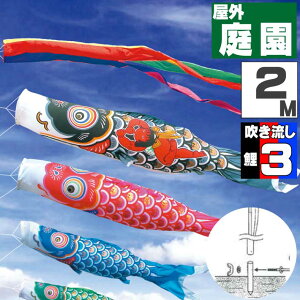 _|CgʃobNII^̂ڂ ̂ڂ    O |[t JJ[fZbg YS[h 2m 6_Zbg IV