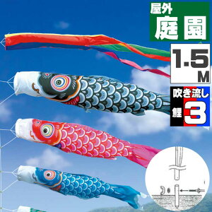 _|CgʃobNII^̂ڂ ̂ڂ    O |[t JJ[fZbg FT 1.5m 6_Zbg IV