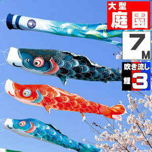 ̂ڂ 傫 ̂ڂ    O ^Zbg  7m 6_Zbg IV