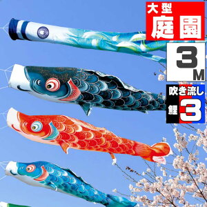 ̂ڂ 傫 ̂ڂ    O ^Zbg  3m 6_Zbg IV