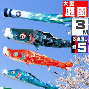 ̂ڂ 傫 ̂ڂ    O ^Zbg  3m 8_Zbg IV