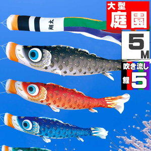 _|CgʃobNII^̂ڂ 傫 ̂ڂ    O ^Zbg ͂邩 5m 8_Zbg IV