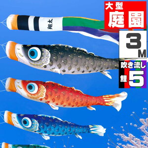 ̂ڂ 傫 ̂ڂ    O ^Zbg ͂邩 3m 8_Zbg IV