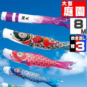 _|CgʃobNII^̂ڂ 傫 ̂ڂ    O ^Zbg YČ 8m 6_Zbg IV