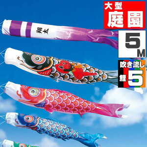 ̂ڂ 傫 ̂ڂ    O ^Zbg YČ 5m 8_Zbg IV