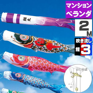 ̂ڂ ̂ڂ x_   }V x_p O t@~[Zbg YČ 2m 6_Zbg IV