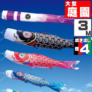 ̂ڂ 傫 ̂ڂ    O ^Zbg Č 3m 7_Zbg IV