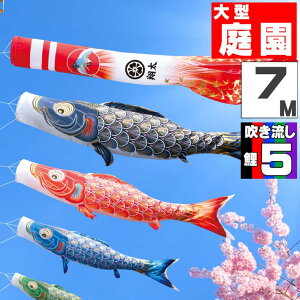 ̂ڂ 傫 ̂ڂ    O ^Zbg ^Ez 7m 8_Zbg IV