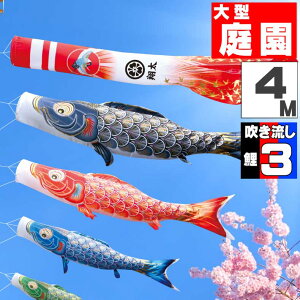 _|CgʃobNII^̂ڂ 傫 ̂ڂ    O ^Zbg ^Ez 4m 6_Zbg IV