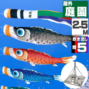 ̂ڂ ̂ڂ    O |[X^ht 뉀X^hZbg ͂邩 2.5m 8_Zbg IV