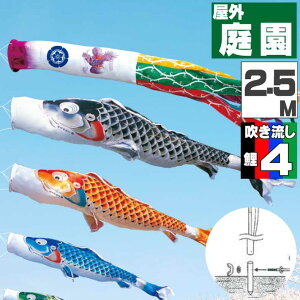̂ڂ ̂ڂ    O |[t JJ[fZbg g 2.5m 7_Zbg IV
