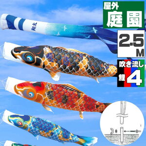 _|CgʃobNII^̂ڂ ̂ڂ    O |[t JJ[fZbg ь 2.5m 7_Zbg IV