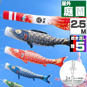 _|CgʃobNII^̂ڂ ̂ڂ    O |[t JJ[fZbg ^Ez 2.5m 8_Zbg IV