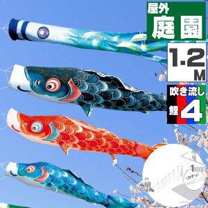 ̂ڂ ̂ڂ    O ɂfRZbg  1.2m 7_Zbg IV