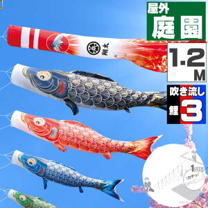 _|CgʃobNII^̂ڂ ̂ڂ    O ɂfRZbg ^Ez 1.2m 6_Zbg IV