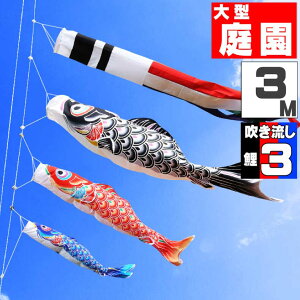 _|CgʃobNII^̂ڂ 傫 ̂ڂ    O ^Zbg `̂ڂ@t 3m 6_Zbg IV