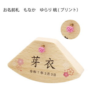 D  ЂȍՂ ̐ߋ Hq  [߂̐ߋ ̂ڂ  RpNg 킢 ~j TCY  Ȃ MONAKA ̎q j̎q l 2l  Ԗ 2Ԗ