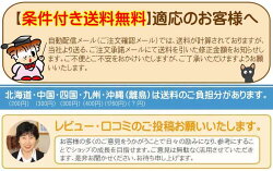 条件付送料無料