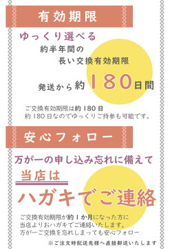 包装紙