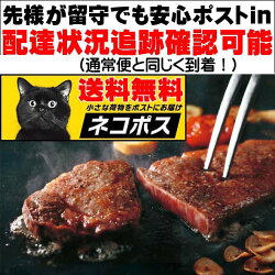 送料無料