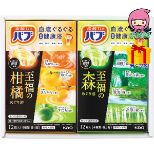 S 2,980~ȉ  2025 Ε Ε ΕMtg ~̃Mtg 蕨 ̃oX^CMtg ΌE  IWiSETUP