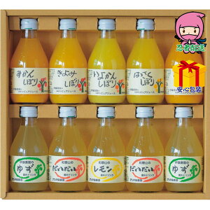  2025 Ε Ε ΕMtg ~̃Mtg 蕨 ɓ_ 100sAW[XhNZbg Hi  100ʏ`