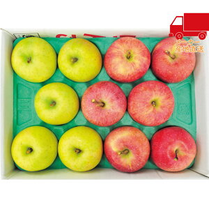 S  2025 Ε Ε ΕMtg ~̃Mtg 蕨 XY Tӂ񂲁сi3kgj Hi Y_Y _Y