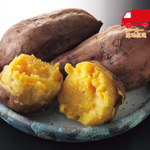 _|CgʃobNII^S 4,980~ȉ  2025 Ε Ε ΕMtg ~̃Mtg 蕨 Y SΖi[ji2kgj Hi Y_Y _Y