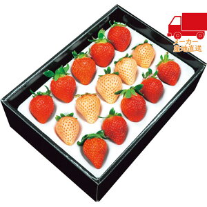 S  2025 Ε Ε ΕMtg ~̃Mtg 蕨 giv250gj Hi Y_Y _Y