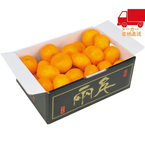 S 5,980~ȉ  2025 Ε Ε ΕMtg ~̃Mtg 蕨 QY ̊ۂ݂i2kgj Hi Y_Y _Y