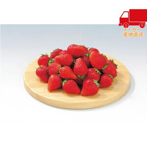 S  2025 Ε Ε ΕMtg ~̃Mtg 蕨 ꌧY i400gj Hi Y_Y _Y