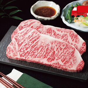 S  2025 Ε Ε ΕMtg ~̃Mtg 蕨 YјaT[CXe[Li}OďCtj Hi Y_Y 