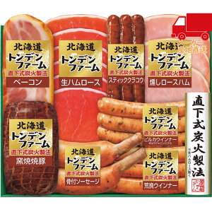  2025 Ε Ε ΕMtg ~̃Mtg 蕨 kCgft@[Mtg Hi Hi n