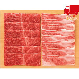 S  2025 Ε Ε ΕMtg ~̃Mtg 蕨 _ˋ Eo Ăpiv500gj Hi Y_Y ʓHi