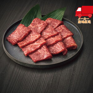 S  2025 Ε Ε ΕMtg ~̃Mtg 蕨 _ˋ  ēpiv400gj Hi Y_Y ʓHi