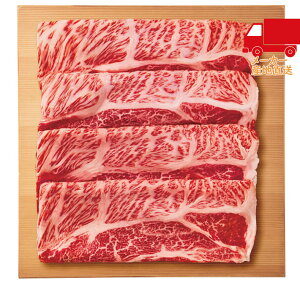 S  2025 Ε Ε ΕMtg ~̃Mtg 蕨 ^ A5Yјa [X Ăpi500gj Hi Y_Y 