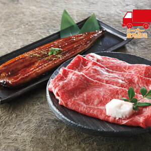 S  2025 Ε Ε ΕMtg ~̃Mtg 蕨 _˃r[tiĂjY Ȃ̊ăZbg Hi Y_Y iZbg