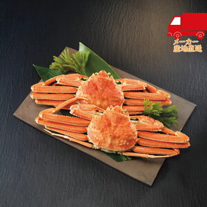 S  2025 Ε Ε ΕMtg ~̃Mtg 蕨 kCY 䥂ŃIIYCKjp Hi Y_Y Y