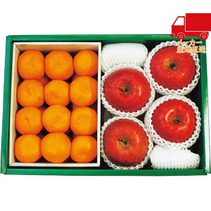 S  2025 Ε Ε ΕMtg ~̃Mtg 蕨 Lc݂ETӂ Hi Y_Y _Y