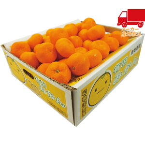 全国送料無料 5,980円以下 送料無料 2025 お歳暮 御歳暮 お歳暮ギフト 冬のギフト 贈り物 和歌山県産 有田みかん(5kg) 食料品 産直農産 農産物