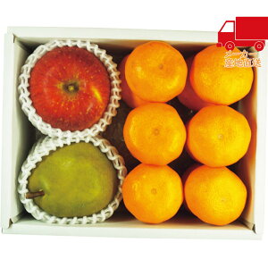 S 4,980~ȉ  2025 Ε Ε ΕMtg ~̃Mtg 蕨 Lc݂EMBTӂ񂲁EEtXl Hi Y_Y _Y