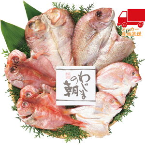 S  2025 Ε Ε ΕMtg ~̃Mtg 蕨 ÂZbg Hi Y_Y Y