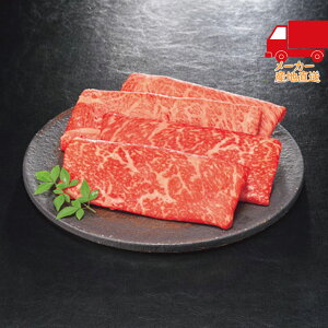  2025 Ε Ε ΕMtg ~̃Mtg 蕨 䋍 [XE ĂZbgiv500gj Hi Y_Y 