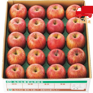 S  2025 Ε Ε ΕMtg ~̃Mtg 蕨 R`Y Tӂ񂲁i5kgj Hi Y_Y _Y