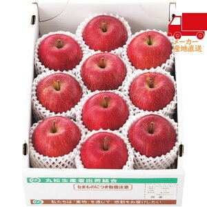 S 5,980~ȉ  2025 Ε Ε ΕMtg ~̃Mtg 蕨 R`Y Tӂ񂲁i3kgj Hi Y_Y _Y