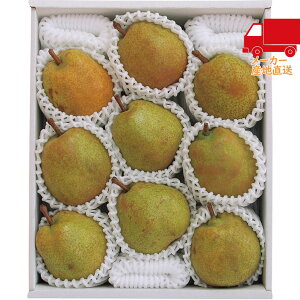 S  2025 Ε Ε ΕMtg ~̃Mtg 蕨 コ̑ʒI胉EtX 3kgi6`9ʁj Hi Y_Y _Y