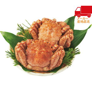 S  2025 Ε Ε ΕMtg ~̃Mtg 蕨 kCY {CуKji2tj Hi Y_Y Jj